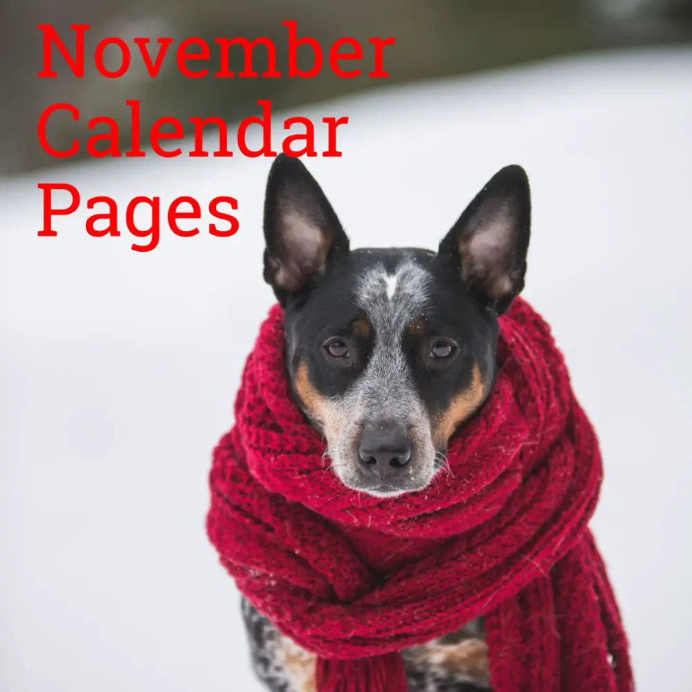 November 2019 Calendar Pages
