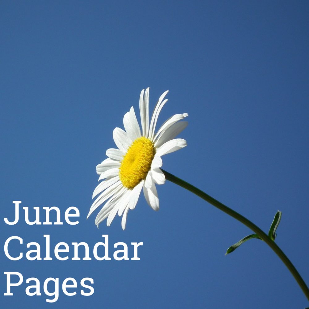 June 2019 Calendar Pages
