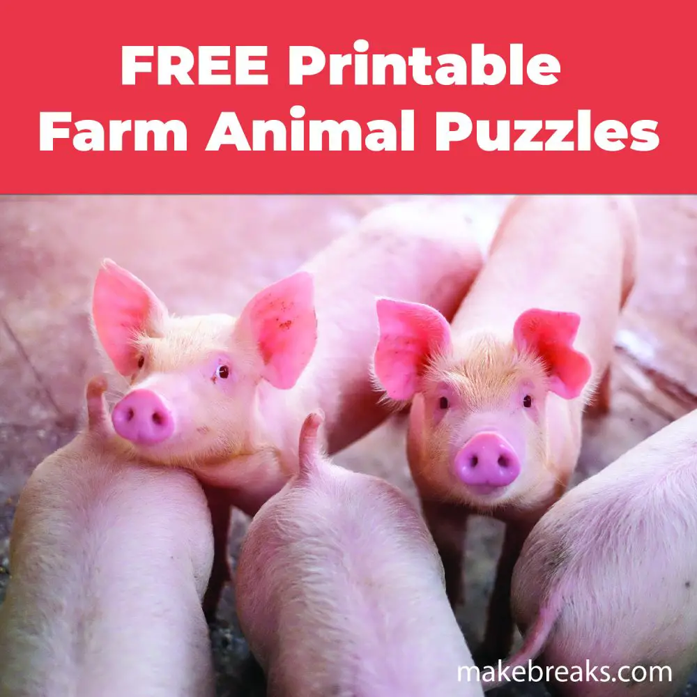 8 Farm Animal Wordsearch Puzzles