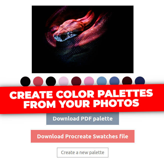 Create Color Palettes From Your Photos