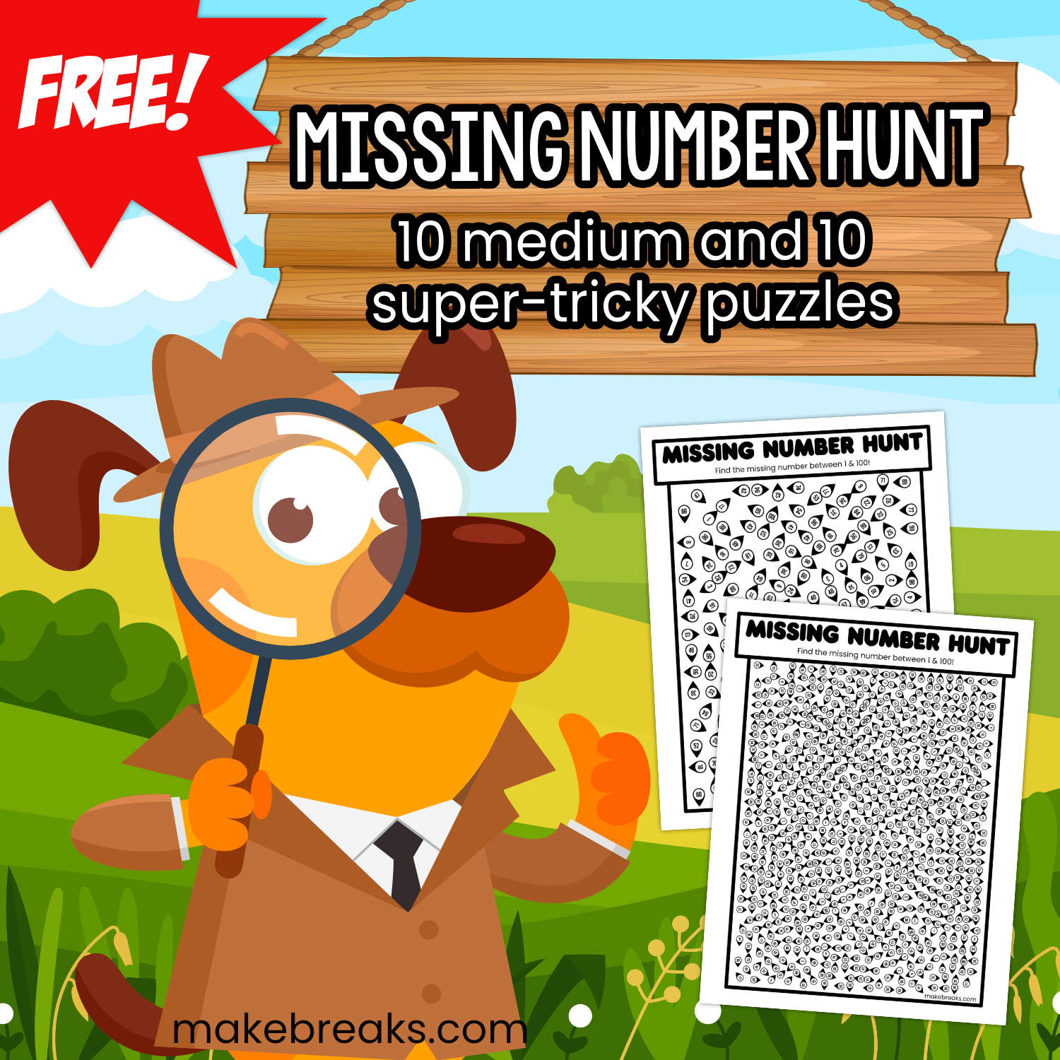 Missing Number Hunt- 20 Find The Number Puzzles