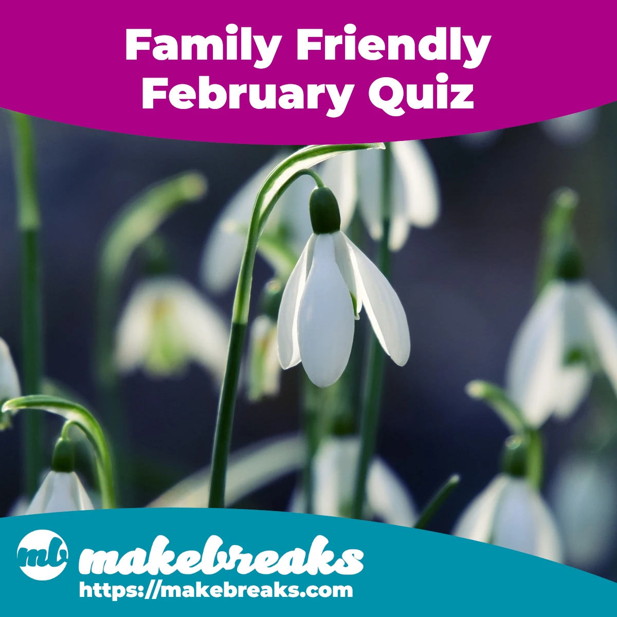 February Quiz for All The Family